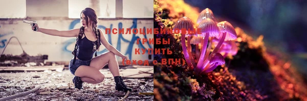 ECSTASY Баксан