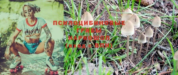 спиды Арсеньев