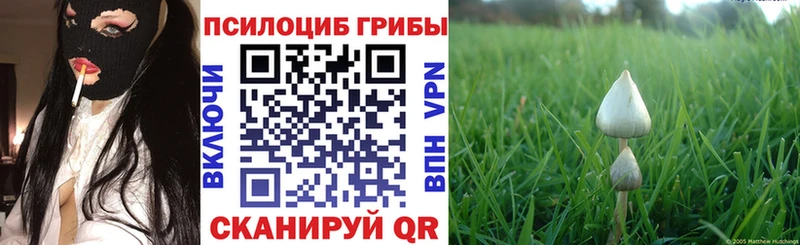 KRAKEN маркетплейс  Петухово  Галлюциногенные грибы GOLDEN TEACHER  магазин   